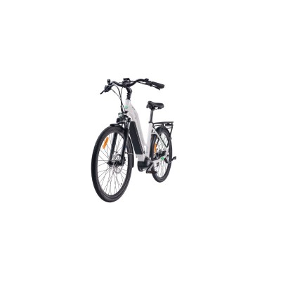 MS ENERGY eBike c100