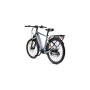 MS ENERGY eBike c101