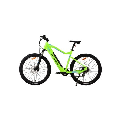 MS ENERGY eBike m11