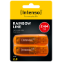 (Intenso) USB Flash drive 64GB Hi-Speed USB 2.0,Rainbow Line, 2 kom - USB2.0-64GB/Rainbow, 2 kom